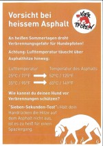 Informationsblatt von Vier Pfoten