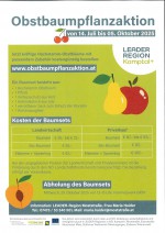 Obstbaumpflanzaktion 2025